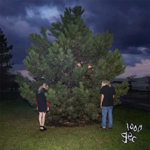 1000 Gecs – 100 Gecs (Vinyl) (AE)
