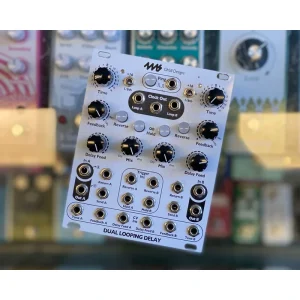 4ms Dual Looping Delay