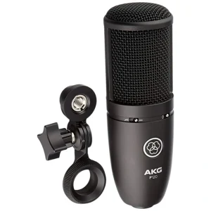 AKG High-Performance General Purpose Recording Microphone P120-MIC