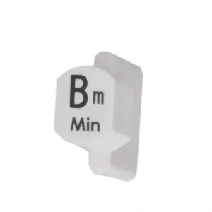 Autoharp Button, B Minor