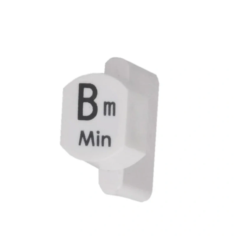 Autoharp Button, B Minor