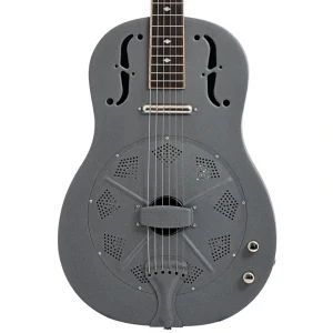 Beard Gold Tone GRE Resonator Guitar (2021)