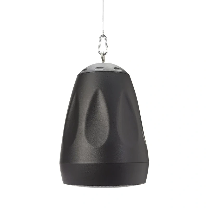 Cloud Electronics CVS-P42TB Pendant Speaker (Black) – 4.5″