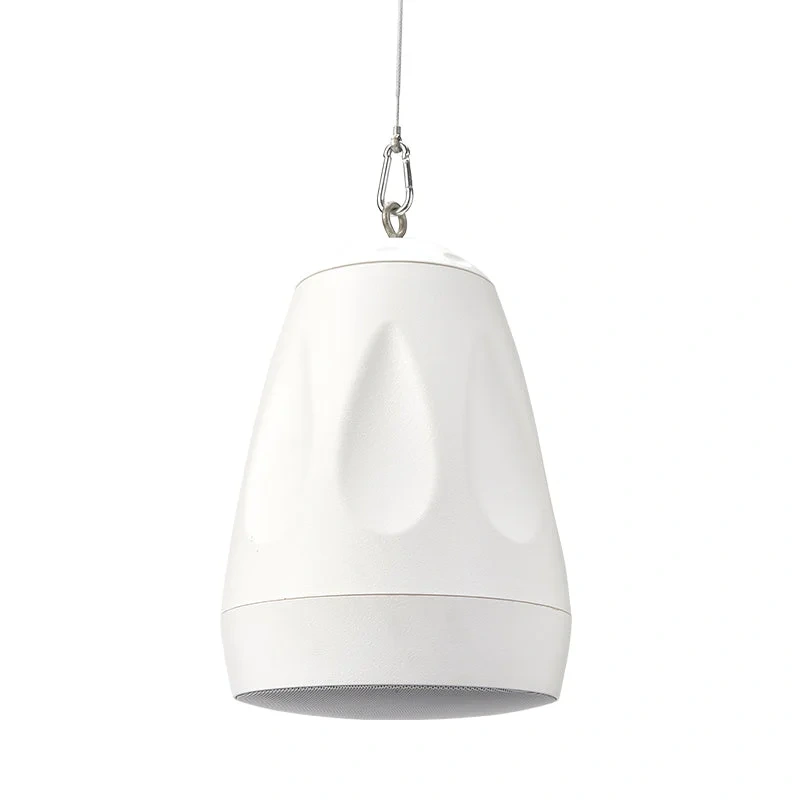 Cloud Electronics CVS-P62TW Pendant Speaker (White) – 6.5″