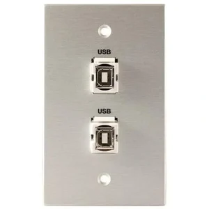 Covid W1232F-CA 2 Keystone USB-2-BA Wall Plate (Clear Anodized)