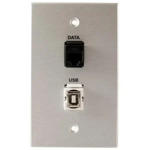 Covid W1234F-CA RJ45-CAT6 and Keystone USB-2-BA Wall Plate (Clear Anodized)