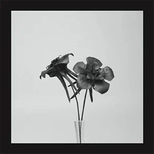 Dark Lotus – Jlin (Vinyl)