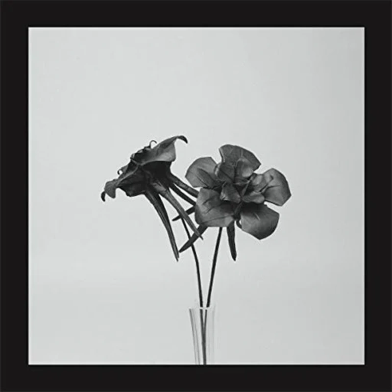Dark Lotus – Jlin (Vinyl)