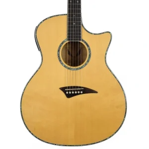 Dean Guitars QSE GN Acoustic Electric With Case – Used