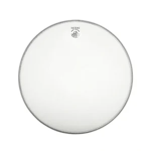 Deering Goodtime Banjo Head, 11″ High Crown