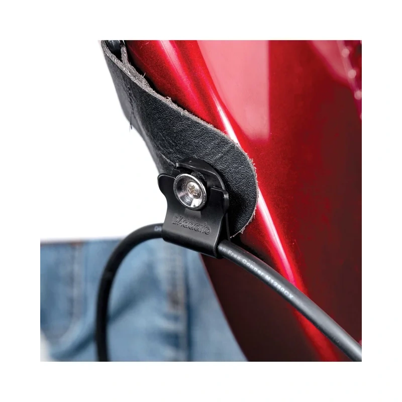 Dual-Lock Strap Locks