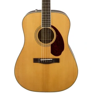 Fender PM-1 Standard Dreadnought – Natural