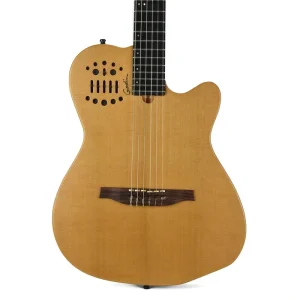 Godin Multiac ACS SA With Gig Bag – Used