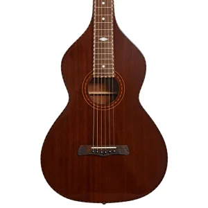 Gold Tone SM Weissenborn Plus & Case