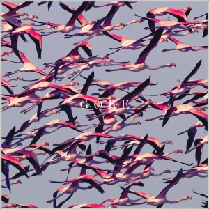 Gore – Deftones (Vinyl) (AE)