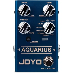 Joyo R-07  Aquarius Delay Pedal Effect