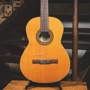 La Patrie QIT Acoustic Electric Nylon Natural With OHSC – Used