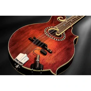 LR Baggs Radius Mandolin Pickup