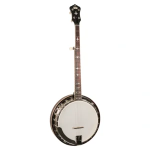Recording King Madison RK-R35-BR 5-String Resonator Banjo