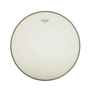 REMO RENAISSANCE BANJO HEAD, 10 3/4 INCH DIAMETER, LOW CROWN (3/8 INCH)