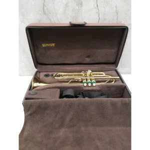 Taishan Winds Trumpet TSTR-801