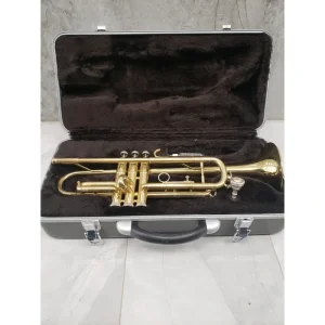 Taishan Winds TSTR-801 – USED Case damaged