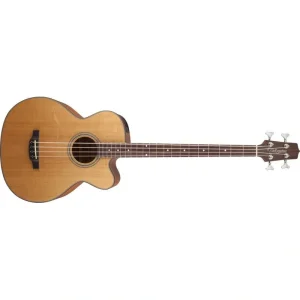 Takamine GB30CE acoustic / electric Bass