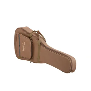 Taylor Gigbag (recent)