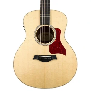 Taylor GS Mini-E FW Limited – Figured Walnut – Roadshow Exclusive