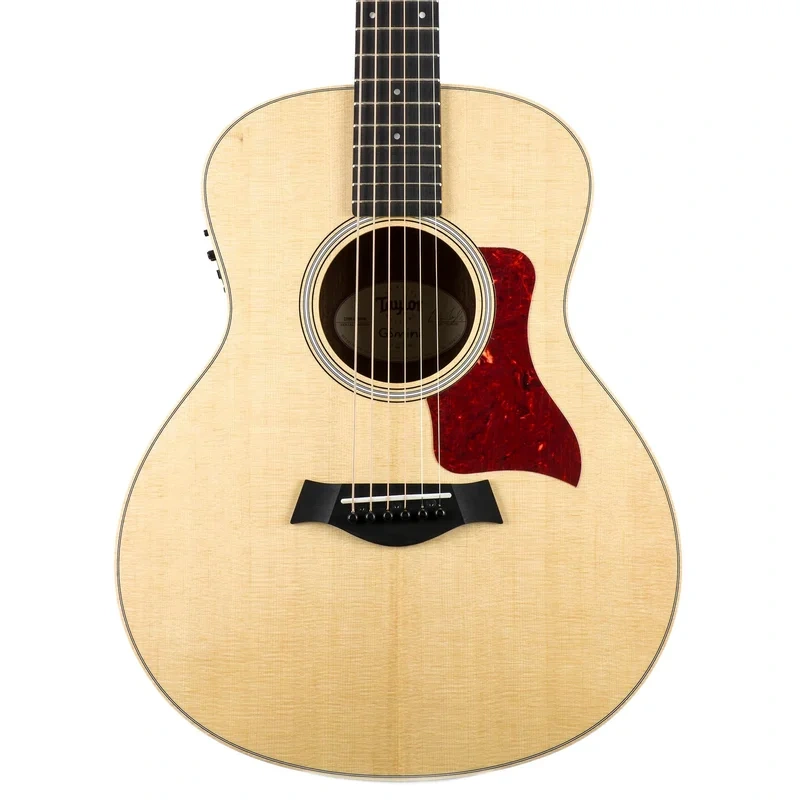 Taylor GS Mini-E FW Limited – Figured Walnut – Roadshow Exclusive