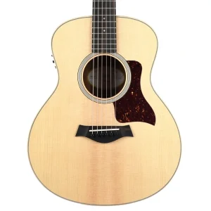 Taylor Road Show Limited GS Mini-E Black