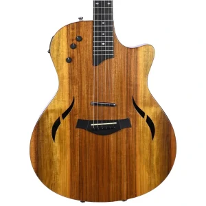 Taylor T5-X Natural Ovankgol With Case And Bag – Used