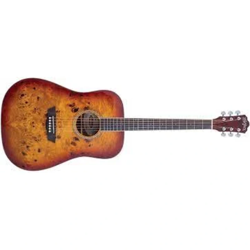 Washburn Deep Forest Burl Dreadnought Acoustic Guitar, Amber Fade DFBDA