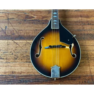 Washburn M2 A-Style Mandolin